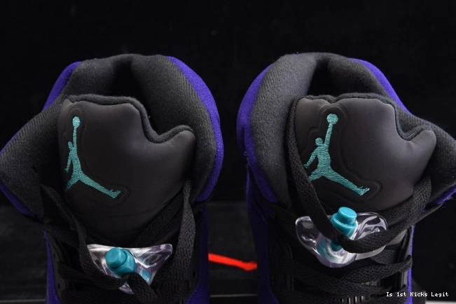 5 Jordan Retro Alternate 136027-500 Grape Air 0728